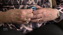 Islander reflects on 75 years of embroidery art and sharing it with others News Clip