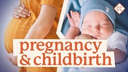 Pregnancy & Childbirth: Sex Ed #9 Instructional Video