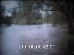 Kew Gardens BW & Col Stock Footage