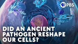 Did An Ancient Pathogen Reshape Our Cells? Instructional Video
