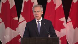 Carney says global economy going through a 'rupture' News Clip