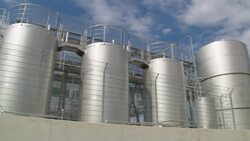 The Importance of Sorghum: From Food to Biofuel Instructional Video