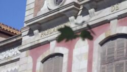 CLEAN : Catalan Parliament leader says referendum is inevitable News Clip