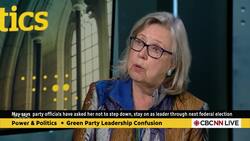 Deputy Green Party leader steps down News Clip