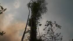 Firefighters struggle to contain Amazon fire Instructional Video