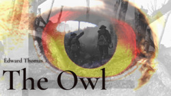 Omen of Death. Reading, Summary, and Analysis of The Owl by Edward Thomas Instructional Video