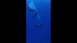 'Alien Spacecraft' May Have Been Found At The Bottom Of The Pacific Ocean Instructional Video