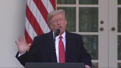 Trump jokes about impeachment as he pardons turkey Instructional Video