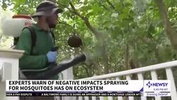 Surging Demand For Bug Spraying Is Hurting Other Animals News Clip
