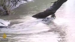 Crocodile-human conflict affecting life in eastern India News Clip