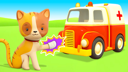 Kitten Instructional Video