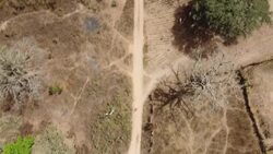 CLEAN : Gambians flee border zone amid Senegalese anti-rebel operation News Clip