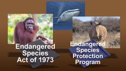 Threatened, Endangered, and Extinct Instructional Video