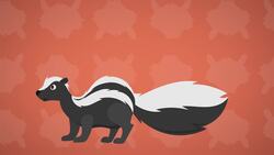 I WONDER - How Does A Skunk Protect Itself? Instructional Video