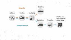 Here's a look inside the demand for raw milk in Alberta News Clip