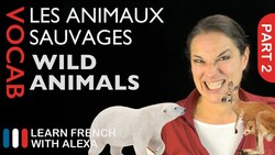 Wild Animals in French Part 2 (basic French vocabulary from Learn French With Alexa) Instructional Video