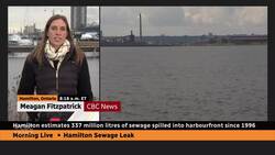 More than 330 million litres of sewage leaked unnoticed into Hamilton harbour since 1996: city News Clip