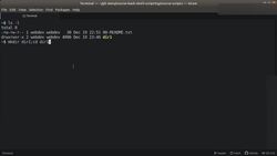 Bash Shell Scripting - Using && and || Instructional Video