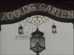 RESEARCH IMW996404 Group of Hitler Youth walk down Berlin street, Berlin Zoo, Wannsee Lake, Ministry of Aviation building, 1936 SD 480p Stock Footage