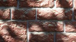 Wall sea shell textured hd footage Stock Footage