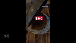 Are you making struggle meals to help save money? News Clip