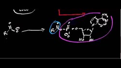 Activating Groups Instructional Video