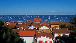 L'Herbe, Gironde, Nouvelle Aquitaine, France Stock Footage