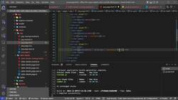 Offline-First Apps with Angular, Ionic, PouchDB, and CouchDB - Payment Page 02 Instructional Video