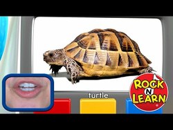 Learn English: Fun Words and Phrases for Outdoors Instructional Video