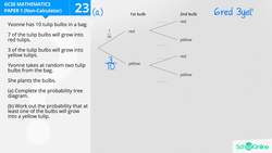 GCSE Secondary Maths Age 13-17 - Probability & Statistics: Tree Diagrams - Explained Instructional Video