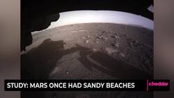Study: Mars Once Had Sandy Beaches News Clip