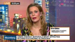 U.S. Stocks Are Priced for Perfection, Gibbs Wealth Management Says News Clip