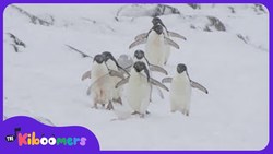 Penguin Dance Song for Kids | Fun Penguin Songs for Children | The Kiboomers Instructional Video