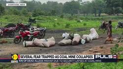 4 dead as illegal mine collapses in Jharkhand, several fear trapped News Clip