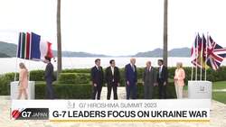 G-7 Leaders Struggle to Win over Swing Nations News Clip
