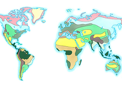 Zonas climáticas Instructional Video