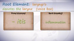 HST-MT - Medical Terminology of the Respiratory System Instructional Video