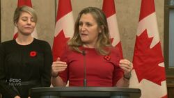 Freeland says meeting of Canada-U.S. relations cabinet committee focused on trade, border News Clip