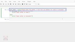 Deep Learning - Computer Vision for Beginners Using PyTorch - Why Choose Python Instructional Video
