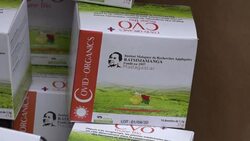 CLEAN : STOCKSOTS: Madagascar's 'green gold' against COVID-19 seeks nod beyond Africa News Clip