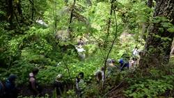 Exploring Portland: A Vibrant City of Nature, Art, and Culture Instructional Video