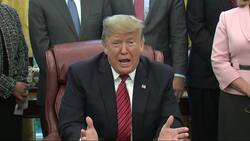 Trump suggests shutdown deal with no evidence Instructional Video