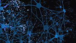 The Benefits and Techniques of Learning New Skills Instructional Video