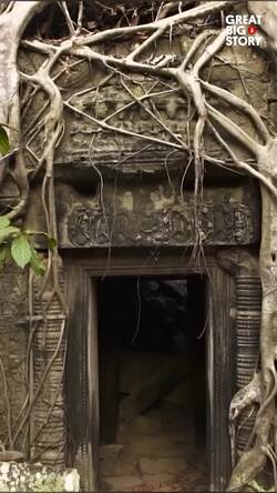 Ta Prohm, the jungle temple of Cambodia Instructional Video