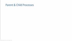 Bash Shell Scripting - Process, Parent Process, Child Process, & Process ID (PID) Instructional Video