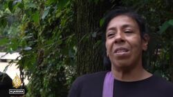 Trump slaps 30% tariffs on imports from Mexico, Sheinbaum urges calm as talks continue News Clip