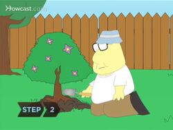 How to Make Your Backyard a Bird Haven Instructional Video