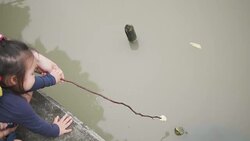 Asian young mother and young father with her adorable two year old girl playing outdoors with love, feeding food to fish and turtle. concept of family love of nature. happy children with the love of parents. Stock Footage