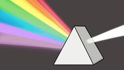 Photosynthesis: The Amazing Process of Plant Food Production Instructional Video