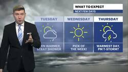 Spring tease coming to The Bronx this week News Clip